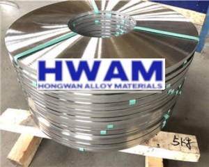 Stainless Steel Strip