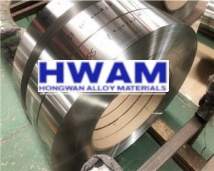 Stainless Steel Strip