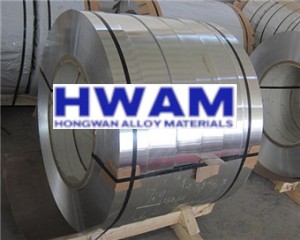 AISI 304 Stainless Spring Steel Strip