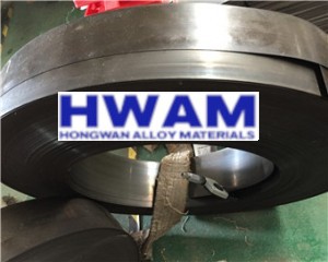 AISI 304 Stainless Spring Steel Strip