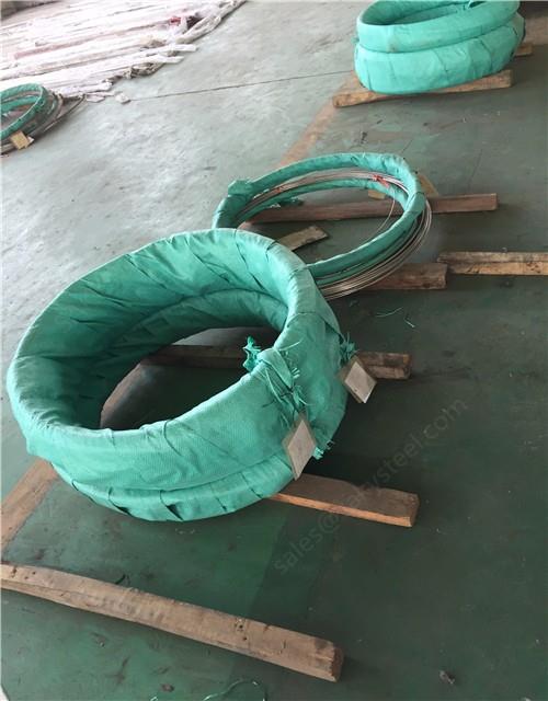 Stainless Steel Coil Pipe