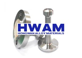 ASTM A182 304 Weldo Flanges