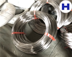 1.4401 Stainless Spring Steel Wire