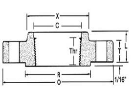 Stainless Steel Threaded Forged Flange