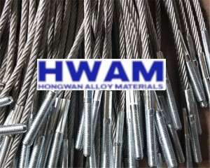 Stainless steel endless wire rope sling (10)