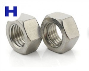 ASTM A194 Hex Nut Fasteners