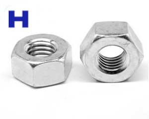ASTM A194 Hex Nut Fasteners